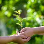 Les Achats jouent un rôle clé dans la transition écologique en intégrant des pratiques durables et responsables.